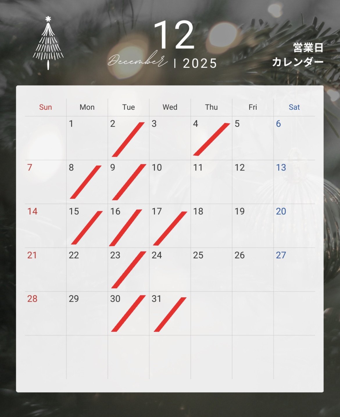 3069538E-9307-4B7B-8559-D473FBC08419 (002).jpg