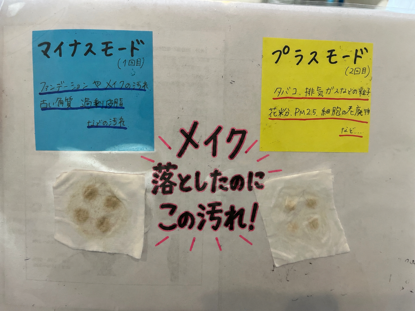 447CD195-1776-43C2-8DC9-B16F02114208.PNG