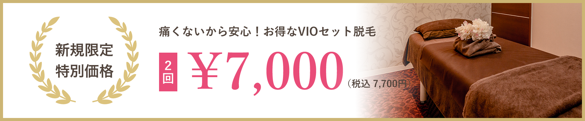 新規限定特別価格