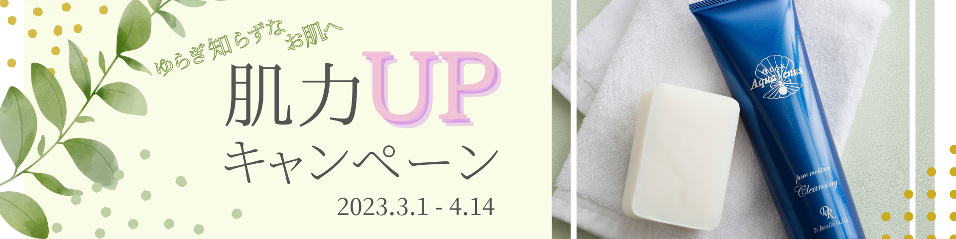 肌力UPキャンペーン